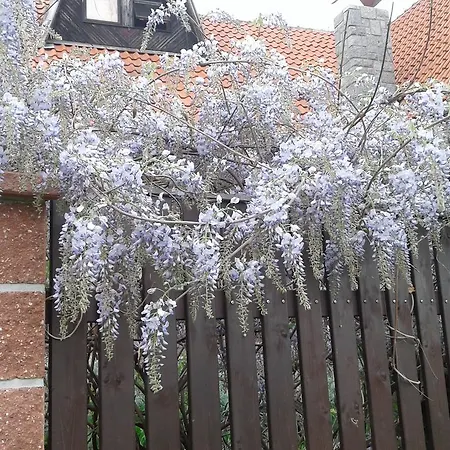 Gasthof U Jezku Průhonice